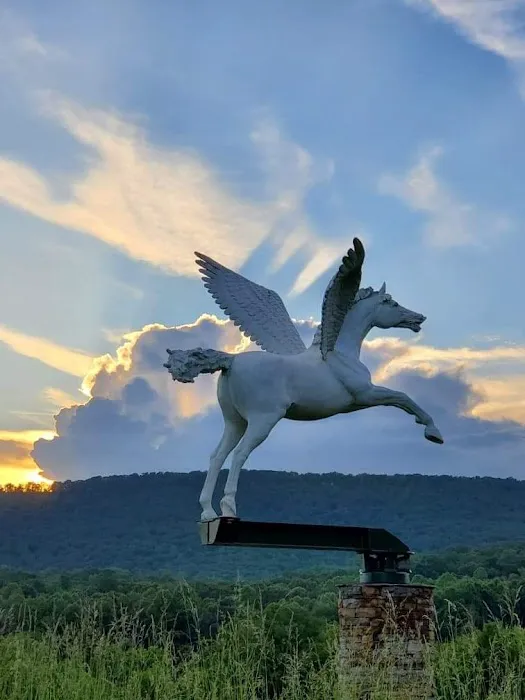 The Hundred Aker Wood Picture 1