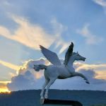 The Hundred Aker Wood