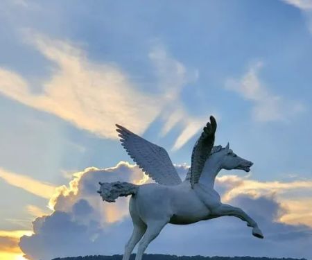 The Hundred Aker Wood