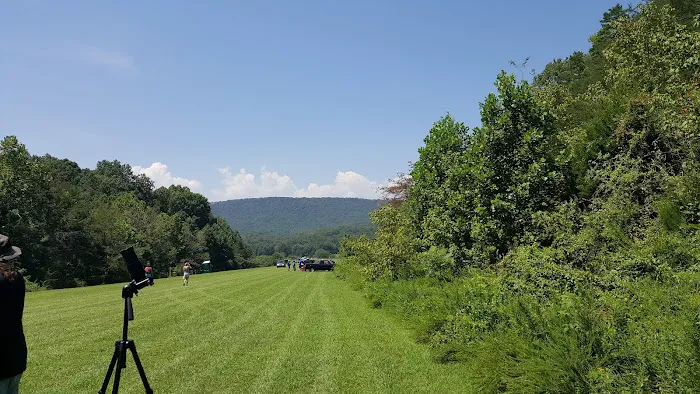 The Hundred Aker Wood Picture 9