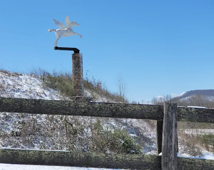 The Hundred Aker Wood Picture 8