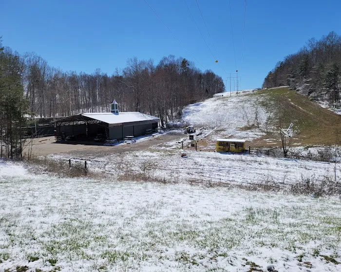 The Hundred Aker Wood Picture 7