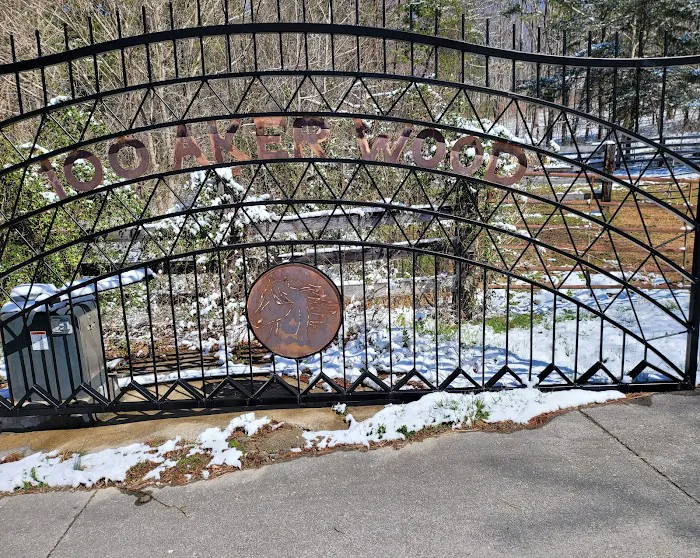 The Hundred Aker Wood Picture 10