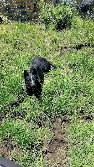 Double Cabin Campground Picture 3