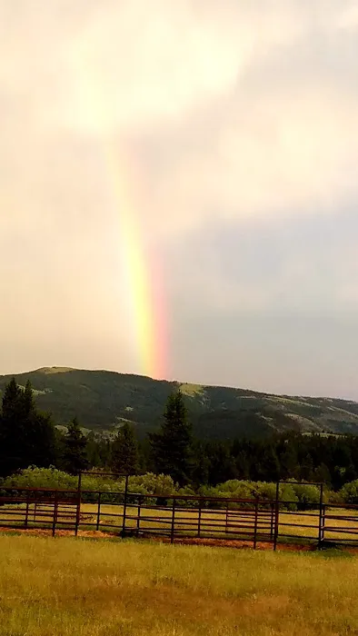 Double Cabin Campground Picture 5