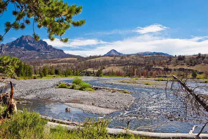 Double Cabin Campground Picture 6