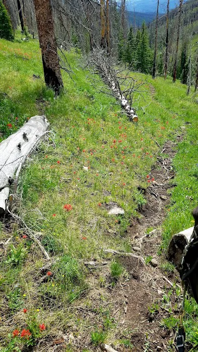 Double Cabin Campground Picture 8