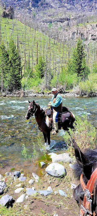 Double Cabin Campground Picture 9