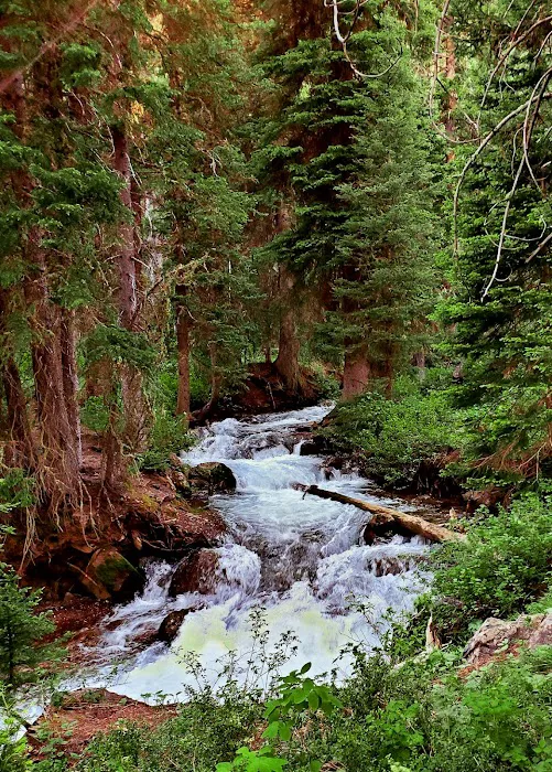 Cottonwood Lake Group Campground Picture 4