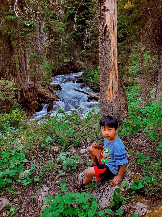 Cottonwood Lake Group Campground Picture 7