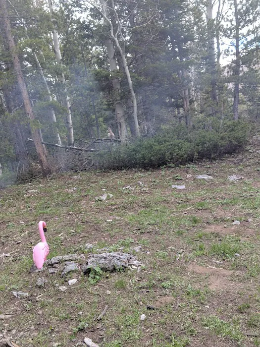 Sacajawea Campground Picture 7