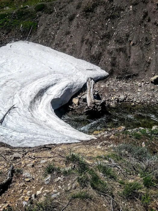 Middle Piney Lake Campground Picture 6