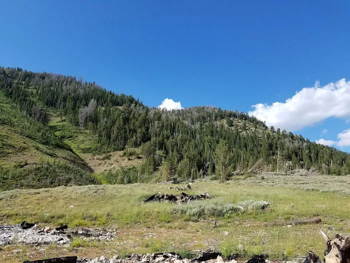 Middle Piney Lake Campground Picture 10