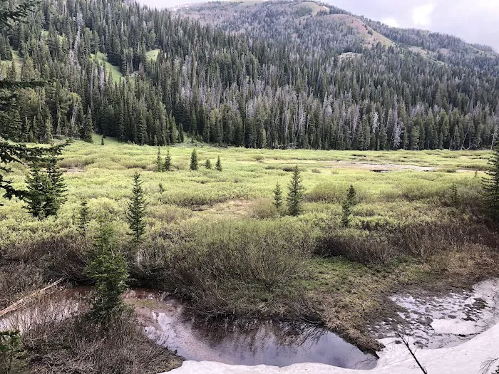 Middle Piney Lake Campground Picture 9