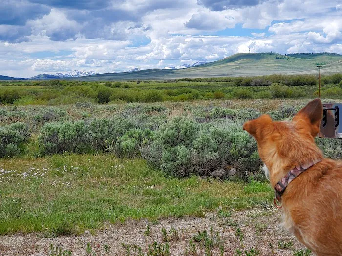 Warren Bridge Campground Picture 2