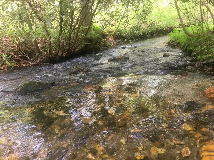 Extended Stay RV America Picture 4