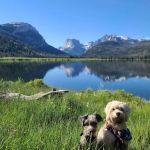 Green River Lake Campground