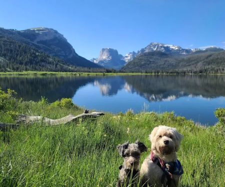 Green River Lake Campground