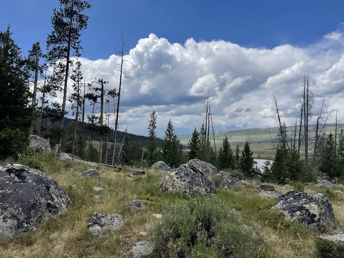 Green River Lake Campground Picture 7