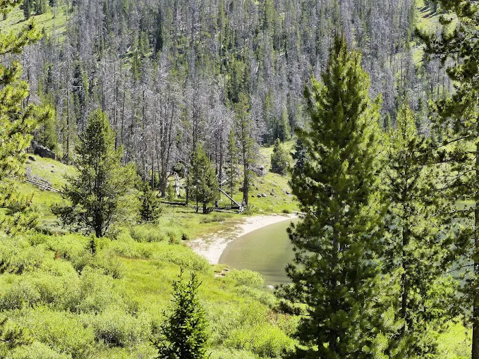 Green River Lake Campground Picture 8