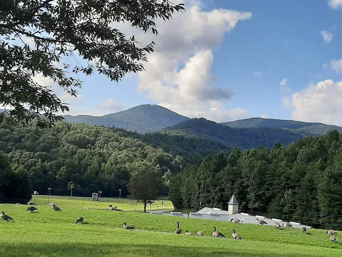 R-Ranch In the Mountains Picture 10