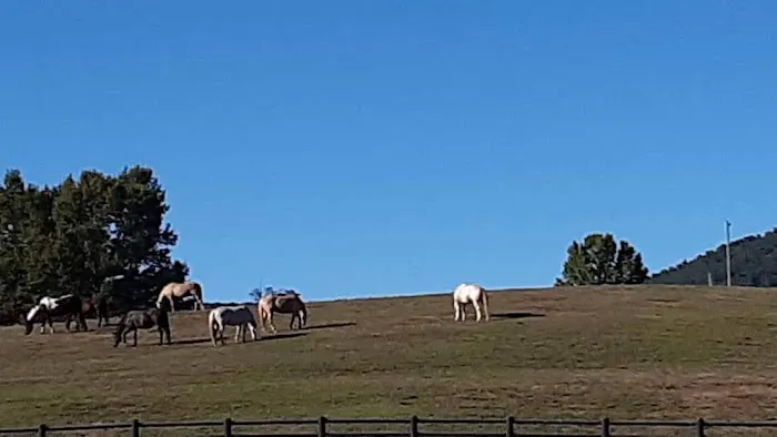 R-Ranch In the Mountains Picture 8