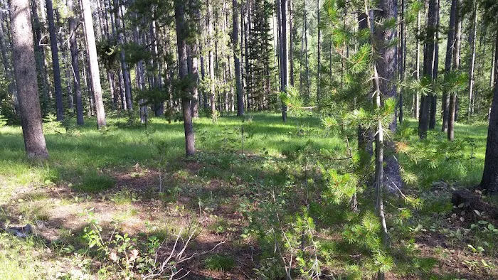 Summit View Campground Picture 9