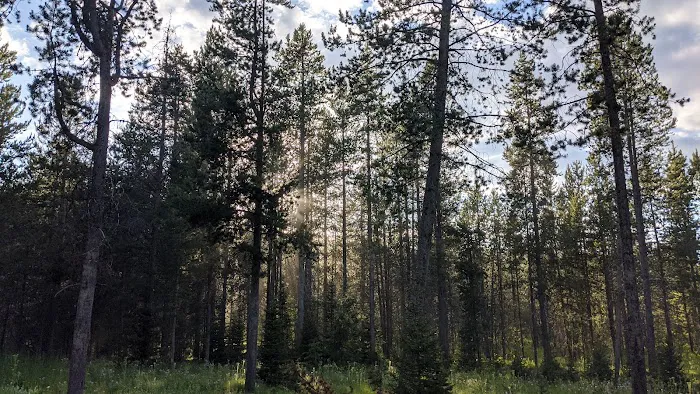 Summit View Campground Picture 10