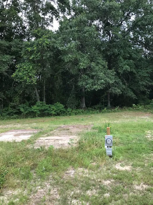 Palmetto State Properties Picture 4