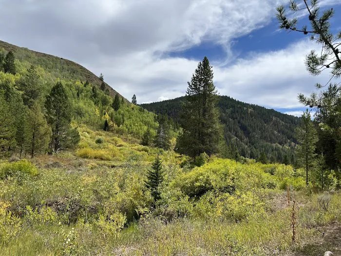 Allred Flat Campground Picture 3