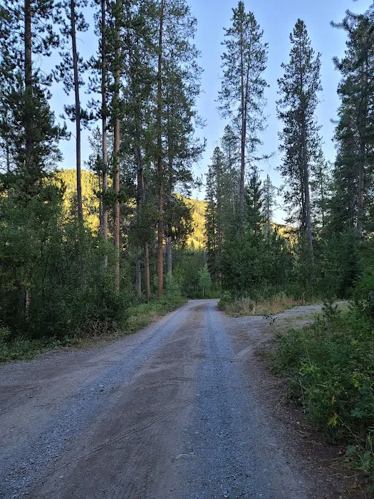 Allred Flat Campground Picture 2