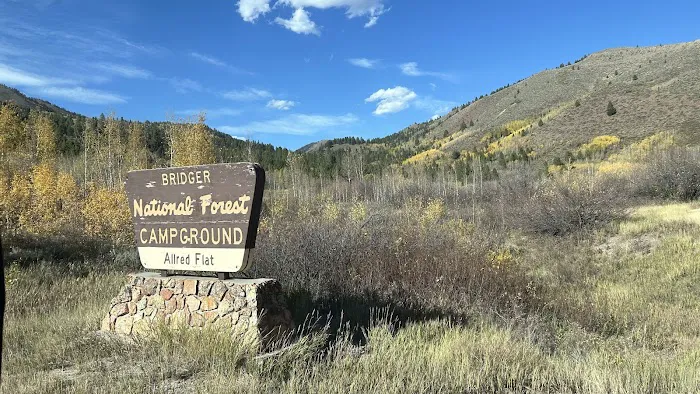 Allred Flat Campground Picture 6