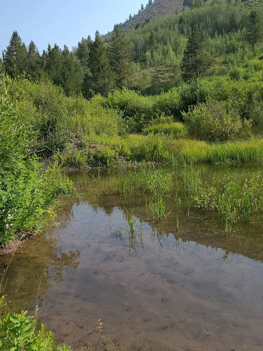 Allred Flat Campground Picture 4