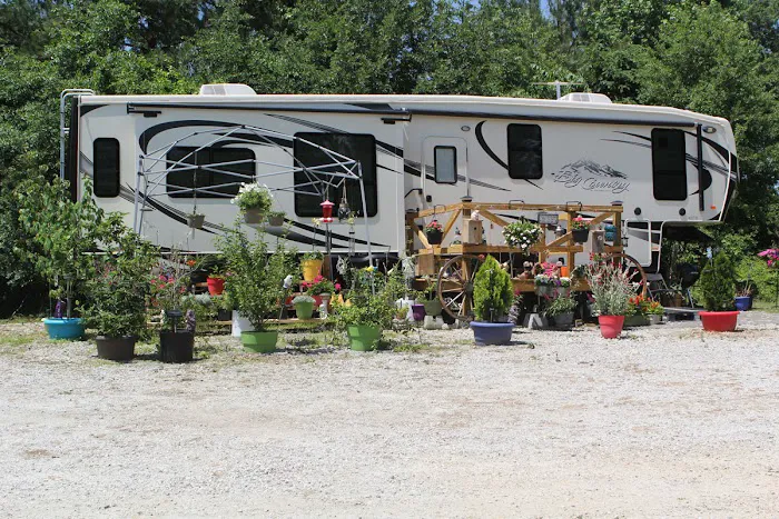 Southern Comfort RV Park Picture 4