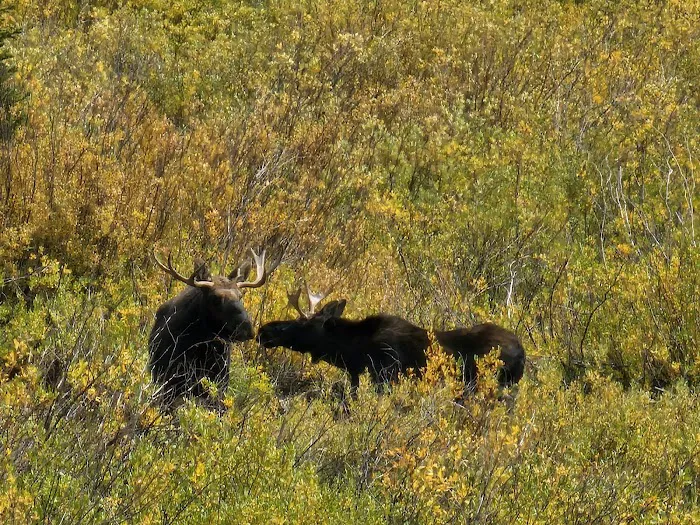 La Barge Guard Station Picture 1