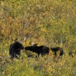 La Barge Guard Station