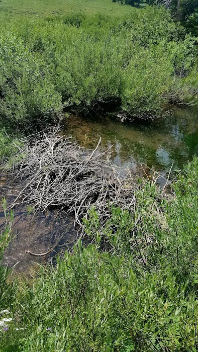 La Barge Guard Station Picture 9