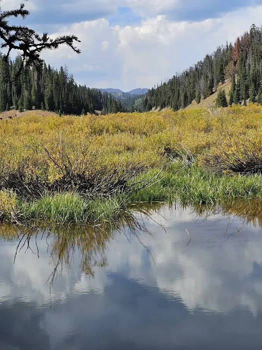 La Barge Guard Station Picture 6