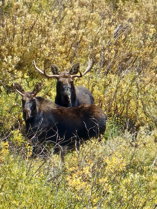 La Barge Guard Station Picture 10