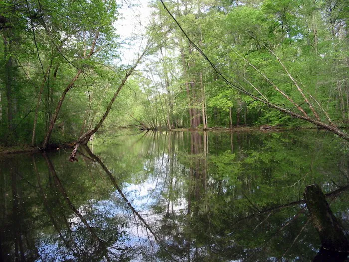 Big Creek RV Park Picture 3