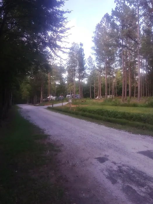 Big Creek RV Park Picture 5