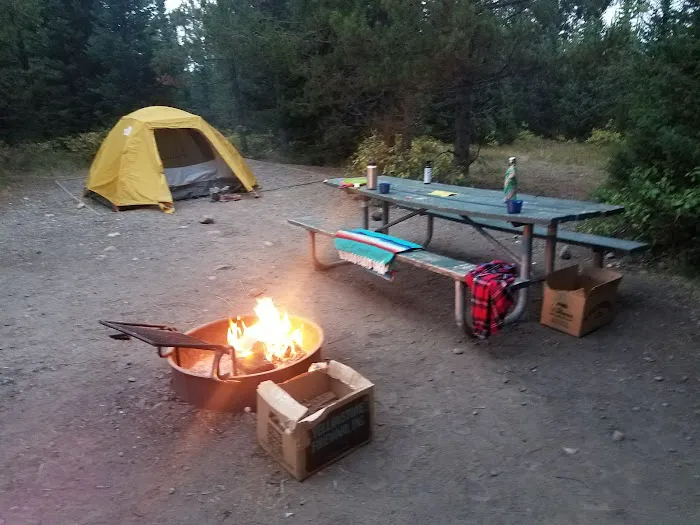 Bridge Bay Campground Picture 1