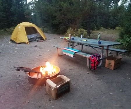 Bridge Bay Campground