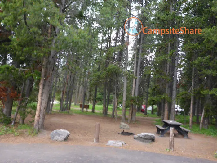 Bridge Bay Campground Picture 5