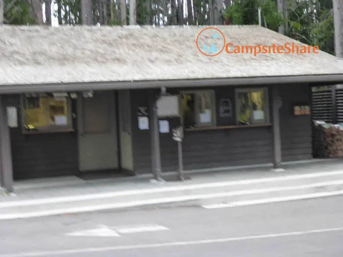 Bridge Bay Campground Picture 6