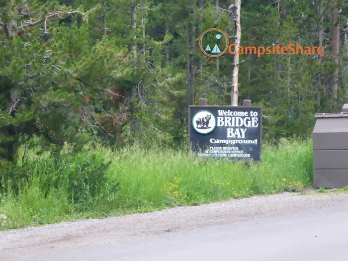 Bridge Bay Campground Picture 7