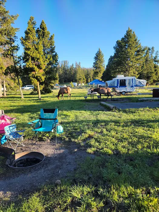 Bridge Bay Campground Picture 2