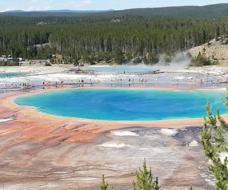 Bridge Bay Campground