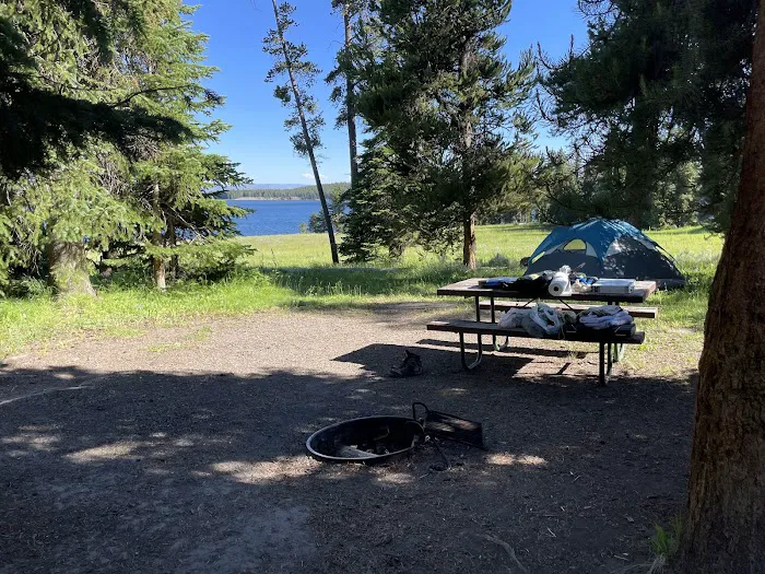 Bridge Bay Campground Picture 5