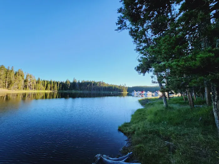 Bridge Bay Campground Picture 8